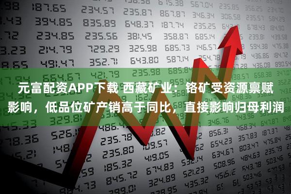 元富配资APP下载 西藏矿业：铬矿受资源禀赋影响，低品位矿产销高于同比，直接影响归母利润