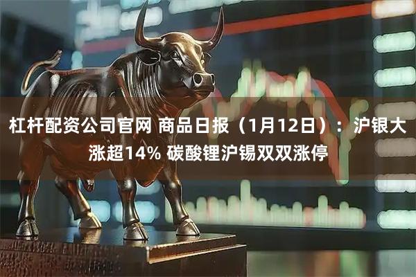 杠杆配资公司官网 商品日报（1月12日）：沪银大涨超14% 碳酸锂沪锡双双涨停